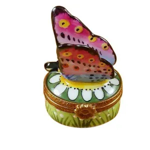 Mini Butterfly on Daisy