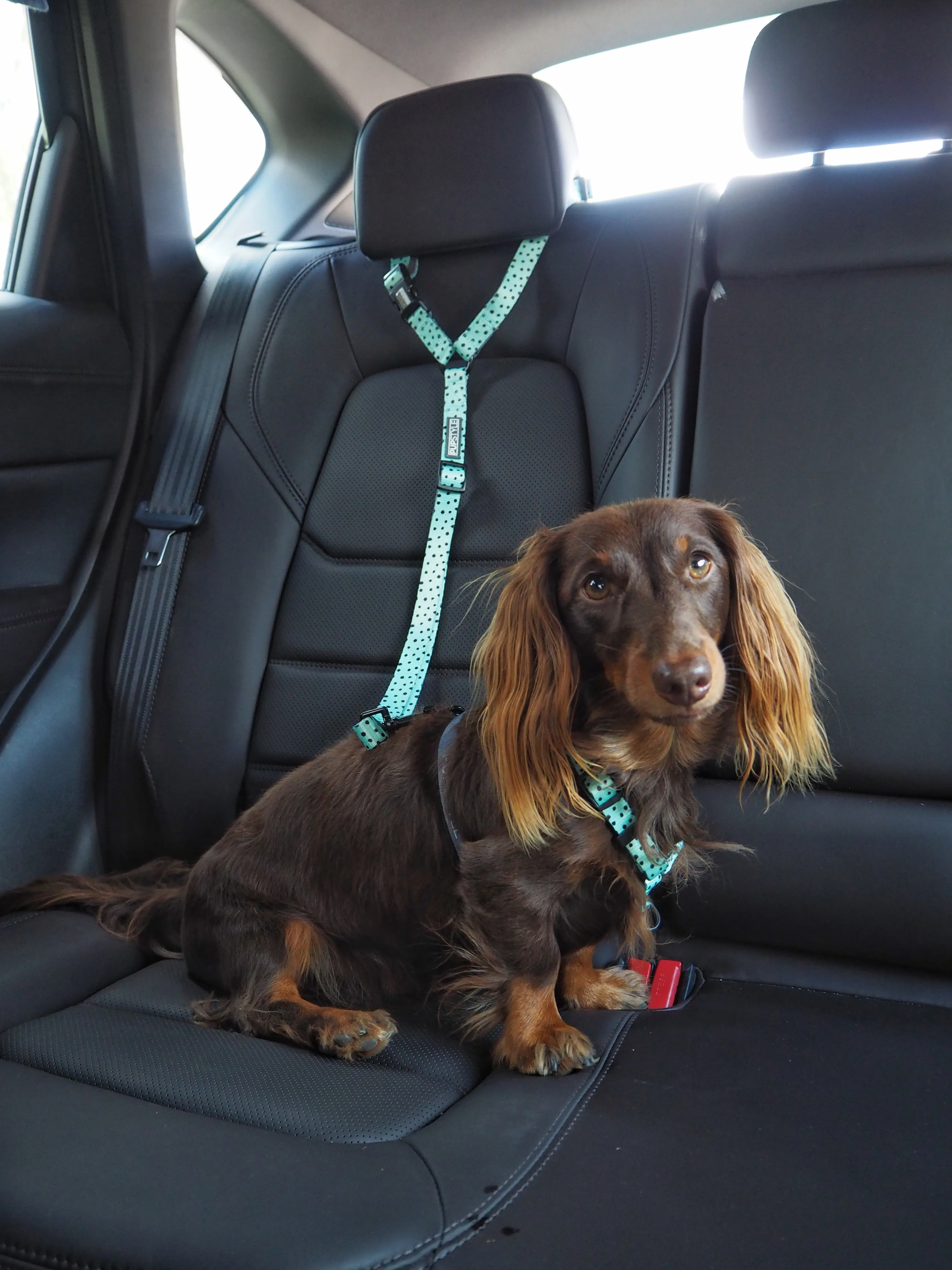 "Santorini" Car Headrest Restraint