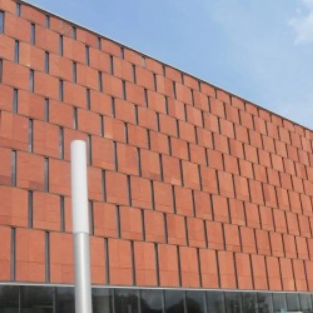 RED SANDSTONE Textured Tile