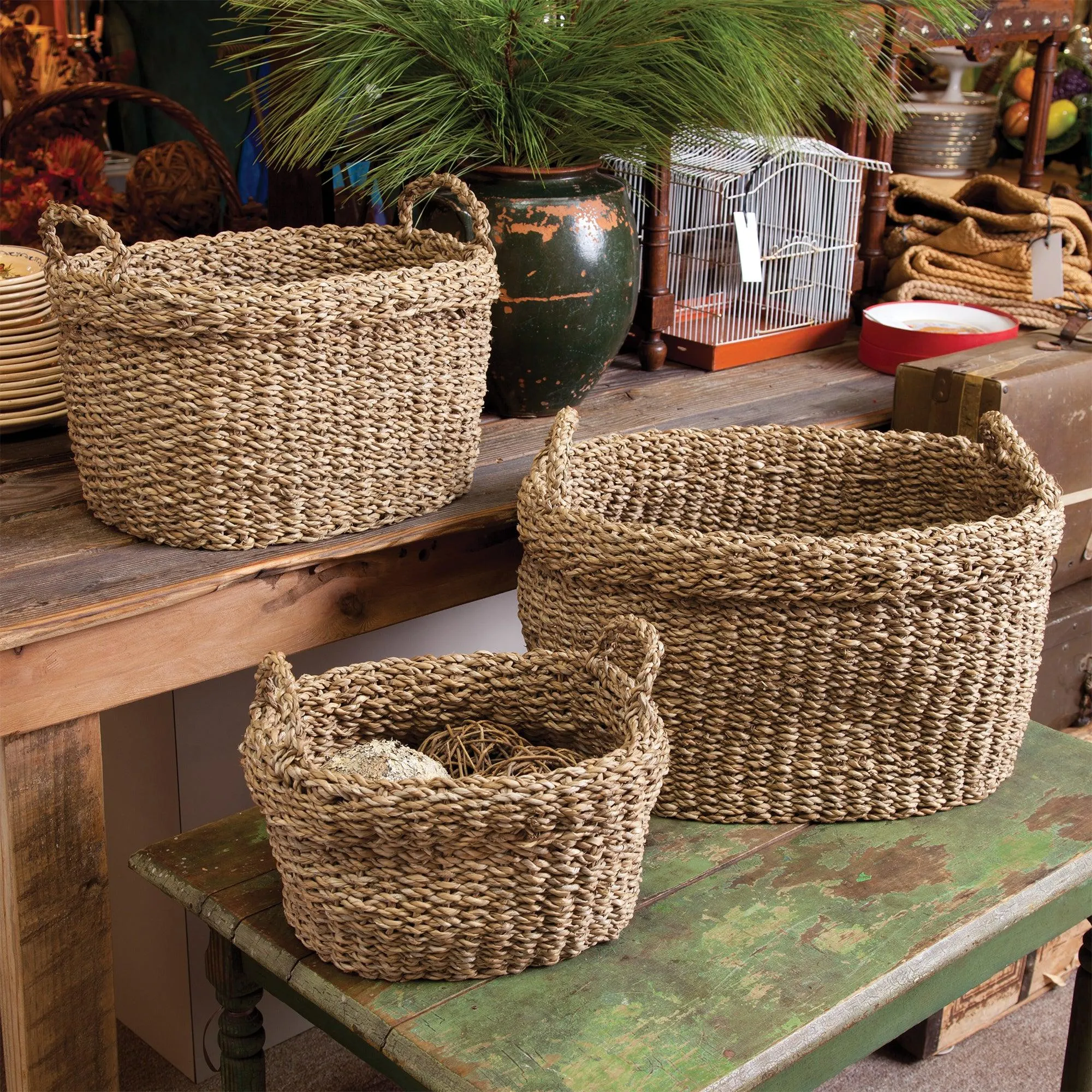 Seagrass Oval Baskets With Handles, Set Of 3