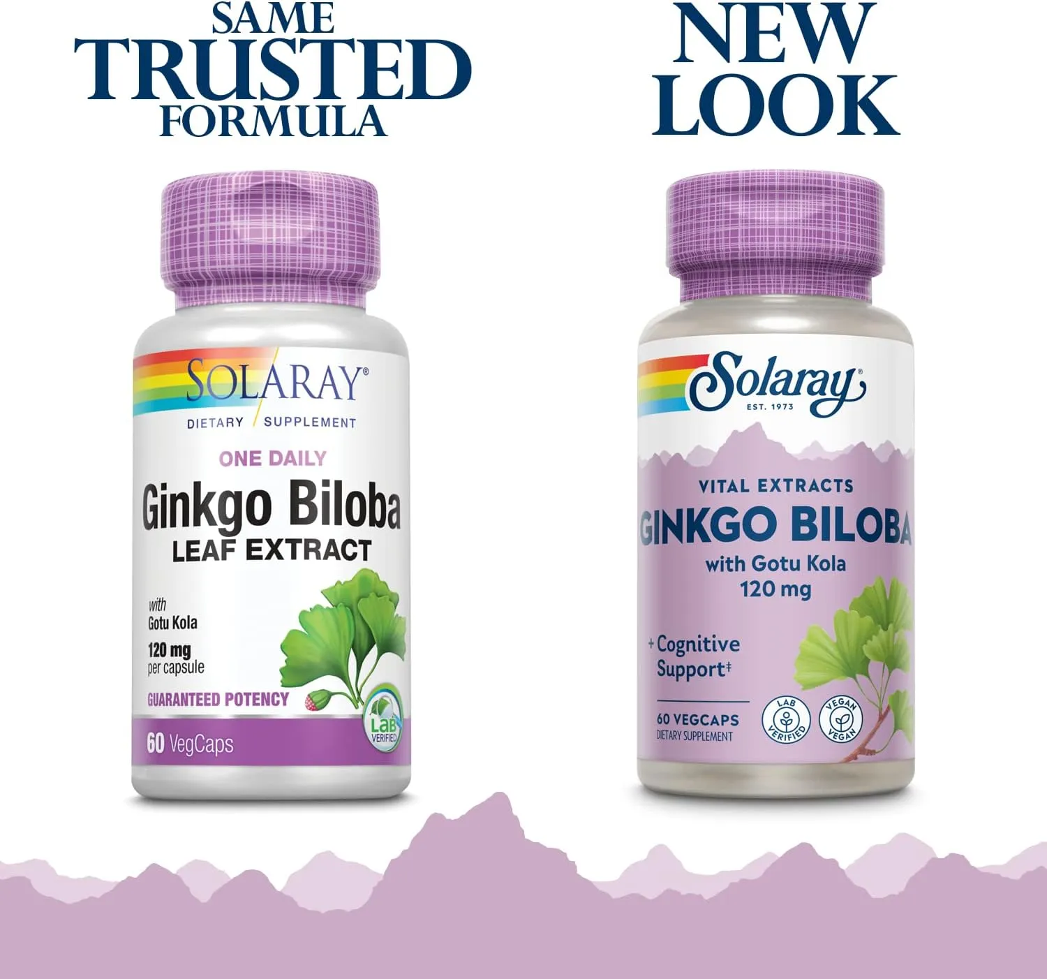 Solaray Ginkgo Biloba Leaf Extract 120 Mg One Daily