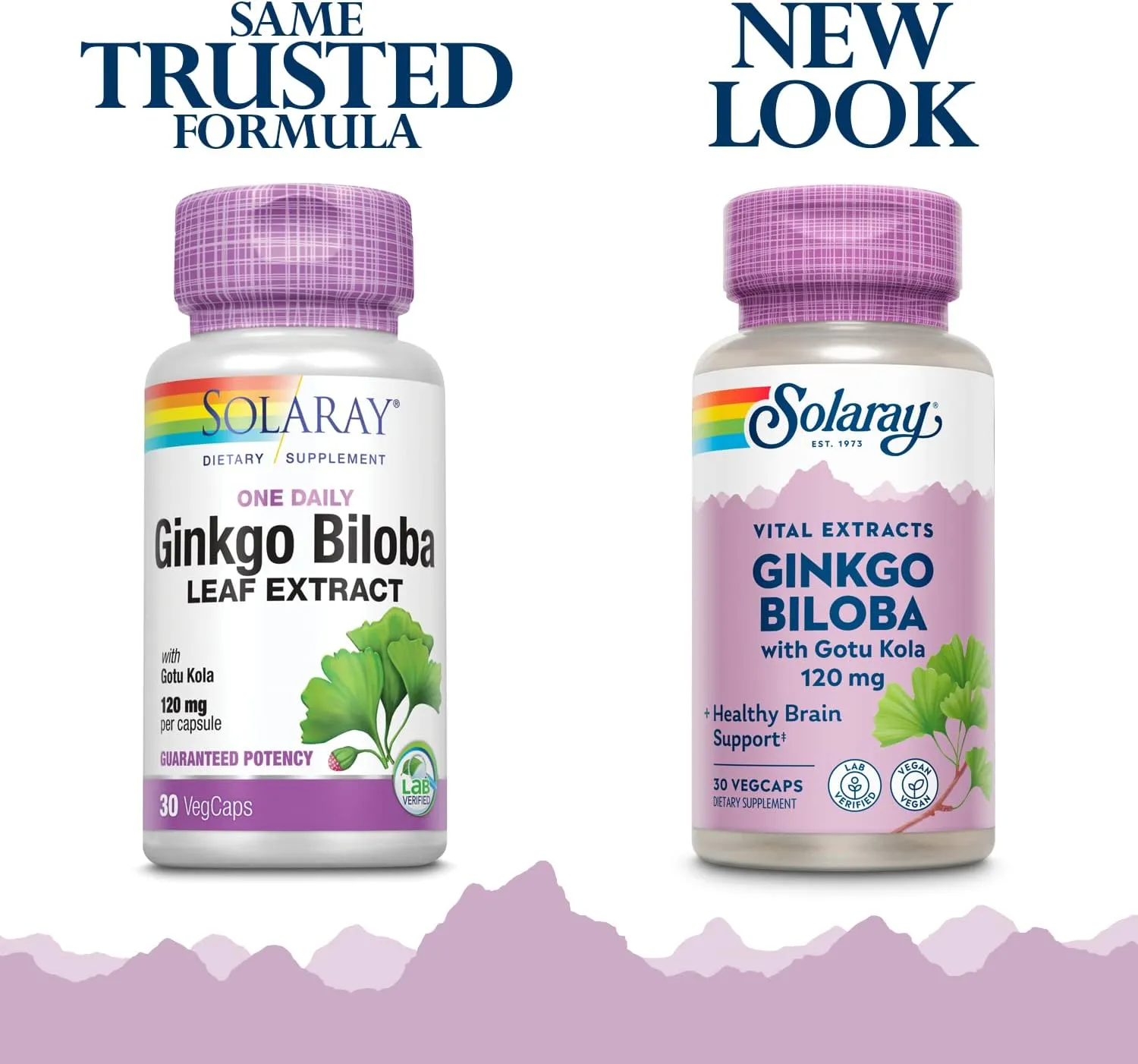 Solaray Ginkgo Biloba Leaf Extract, One Daily 30ct 120mg