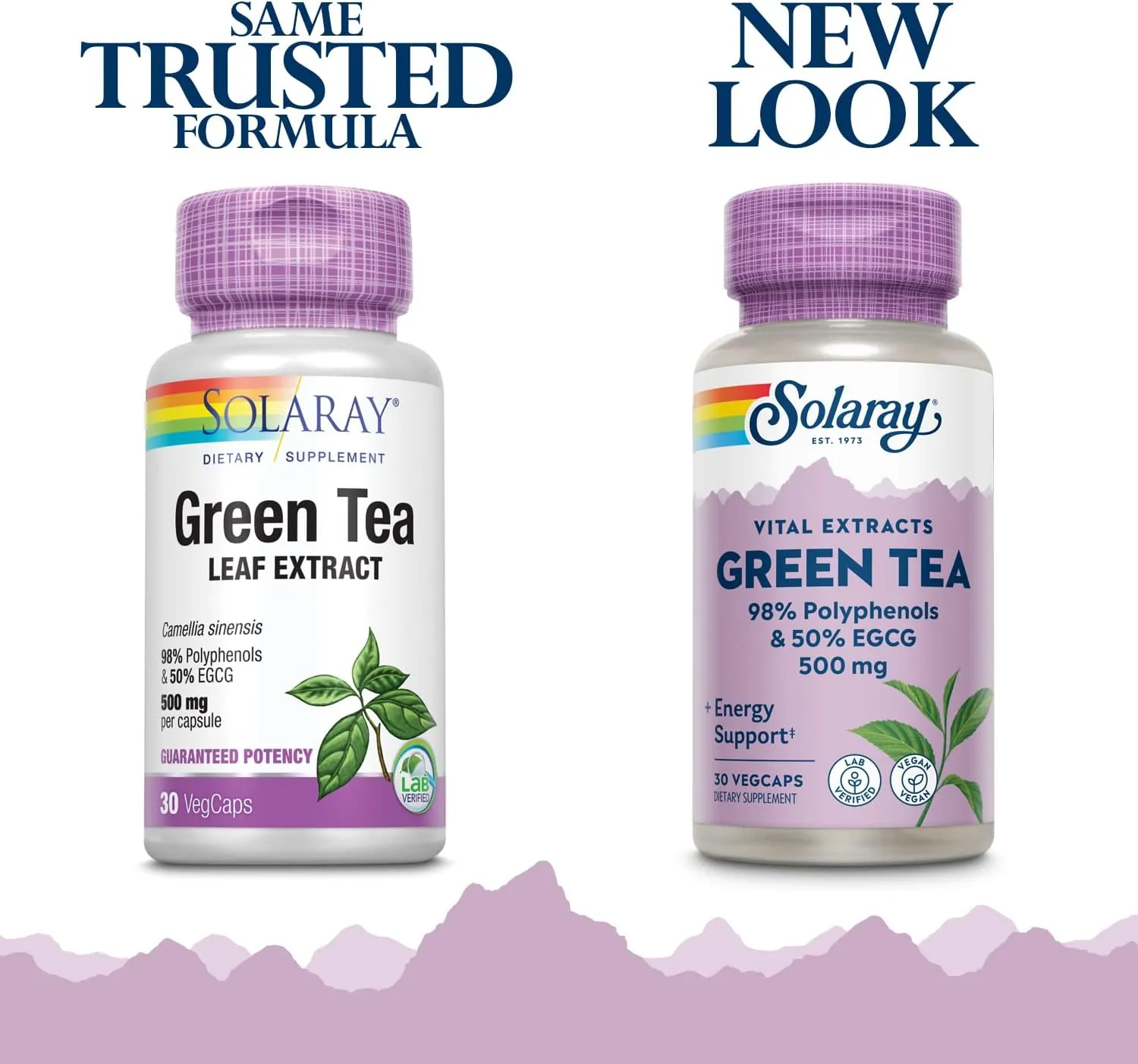 Solaray Guaranteed Potency Green Tea Leaf Extract Double Strength, Veg Cap (Btl-Plastic) 500mg | 30ct