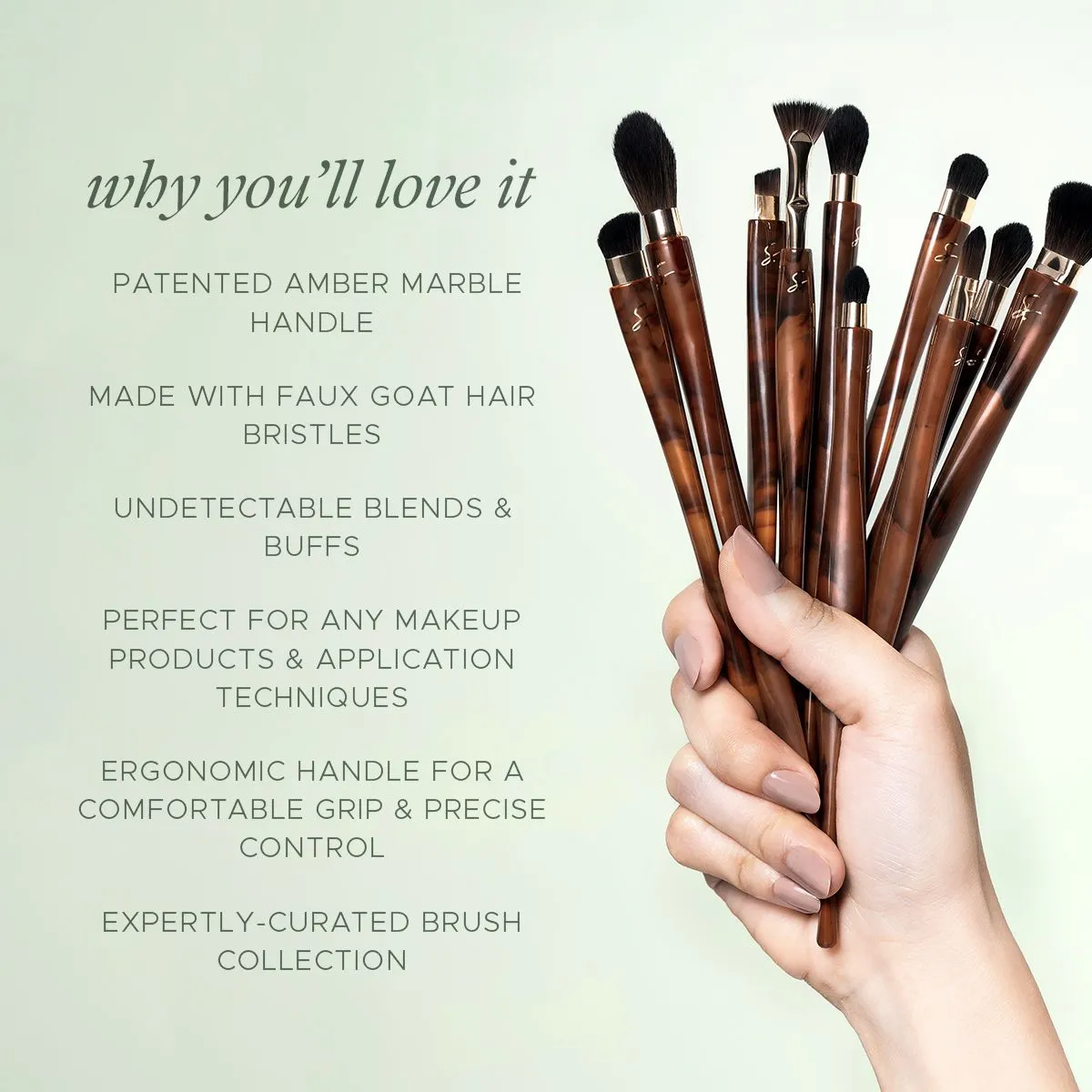 The Pro Brush Elite Collection: Exquisite Eye Series