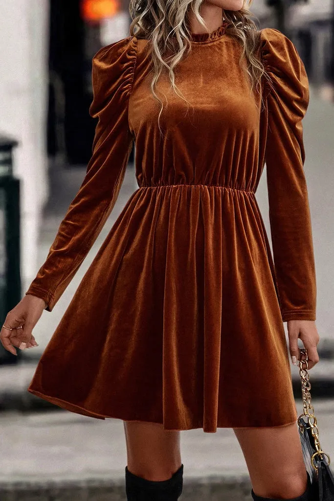 Velvet Puff Sleeve Dress