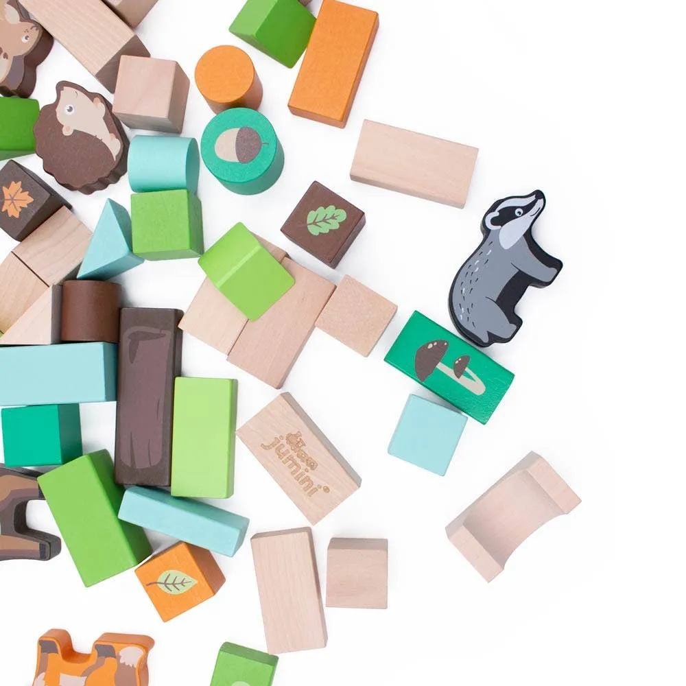 Woodland 50pcs Building Block Set