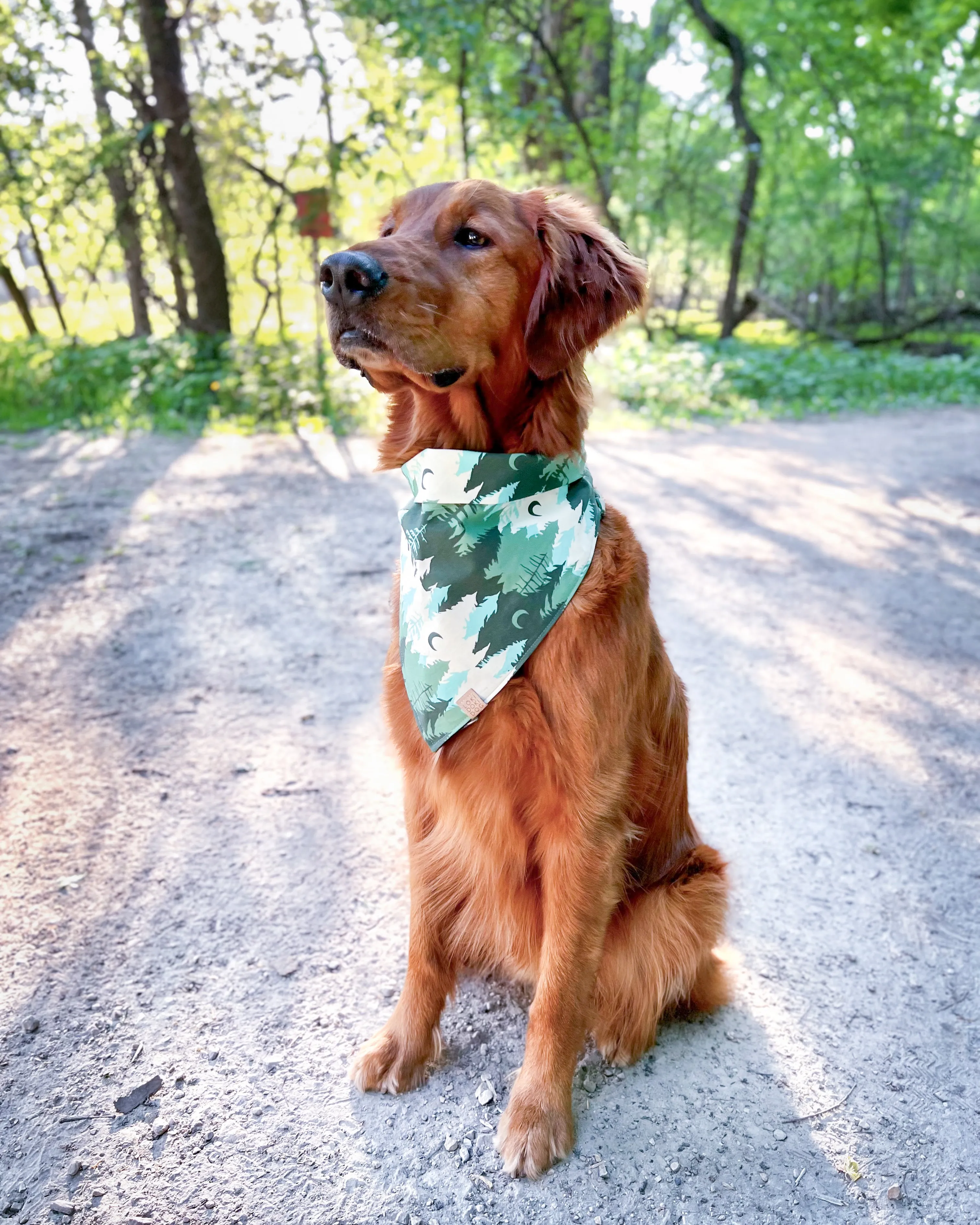 Woodland Dog Bandana